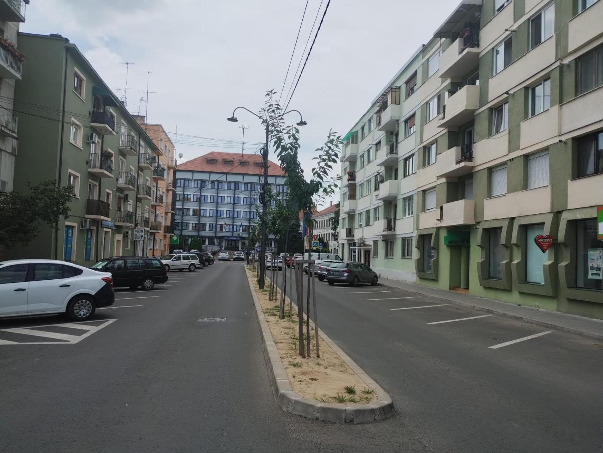 Central White Apartment Satu Mare Exterior foto